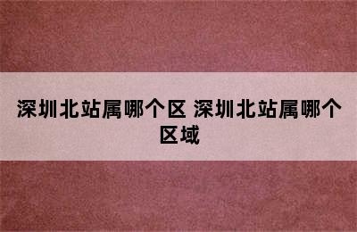 深圳北站属哪个区 深圳北站属哪个区域